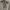 Japanese brand Streetwear Hoody Pria tan photo 1