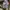 Japanese brand Streetwear Hoody Pria tan photo 5