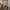 Japanese brand Streetwear Hoody Pria tan photo 4