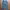 Uniqlo Streetwear Skater Jeans Pria Blue
