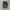 Nike Streetwear Gorpcore Sneakers Pria green black photo 2