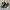 Nike Streetwear Gorpcore Sneakers Pria green black photo 1