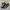 Nike Streetwear Gorpcore Sneakers Pria Green Black