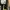 Nike Streetwear Gorpcore Sneakers Pria green black photo 4