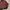 H&M Biker Casual Bomber jacket Pria burgundy photo 4