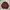 H&M Biker Casual Bomber Jacket Pria Burgundy