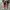 Converse Casual Sneakers Pria white red photo 4