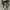 Converse Casual Sneakers Pria white black photo 4