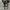 Converse Casual Sneakers Pria white black photo 5