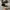 Converse Casual Sneakers Pria white black photo 3