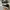 Converse Casual Sneakers Pria white black photo 2