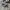 Converse Casual Sneakers Pria white black photo 1