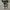 Converse Casual Sneakers Pria white black photo 4