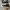 Converse Casual Sneakers Pria white black photo 2