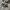 Converse Casual Sneakers Pria white black photo 1