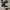 Converse Casual Sneakers Pria white black photo 3