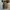 Converse Casual Sneakers Pria white gray photo 6