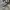 Converse Casual Sneakers Pria white gray photo 1
