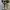 Converse Casual Sneakers Pria white gray photo 4
