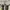 Converse Casual Sneakers Pria white gray photo 7