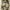 ZARA Casual Crop top Wanita multicolor photo 3