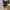 Converse Casual Sneakers Pria white black photo 5