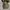 Converse Casual Sneakers Pria white black photo 6