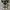 Converse Casual Sneakers Pria white black photo 4