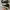 Converse Casual Sneakers Pria White Black