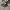 Converse Casual Sneakers Pria white black photo 1