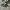 Converse Casual Sneakers Pria White Black