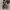 Converse Casual Sneakers Pria burgundy white photo 6