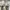 Converse Casual Sneakers Pria white photo 7