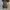 Converse Casual Sneakers Pria white photo 6