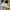Converse Casual Sneakers Pria white photo 3