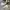 Converse Casual Sneakers Pria white photo 1