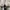 Converse Casual Sneakers Pria white black photo 7