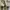 Converse Casual Sneakers Pria white yellow photo 7