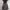 Vintage Casual Evening dress Wanita white black photo 8