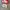 Nike Casual Sneakers Pria white red photo 1