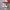 Nike Casual Sneakers Pria white red photo 1