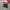 Nike Casual Sneakers Pria black gray photo 1