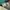 Nike Casual Sneakers Pria green white photo 7