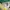 Nike Casual Sneakers Pria green white photo 8