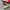 Nike Casual Sneakers Pria gray photo 2