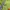 K2 Sportswear Jersey Pria Green