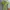 K2 Sportswear Jersey Pria Green