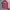 Columbia Sportswear Jersey Pria pink photo 1