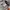 Nike Sportswear Jersey Pria gray photo 4