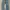 True Religion Vintage Streetwear Jeans Pria Multicolor
